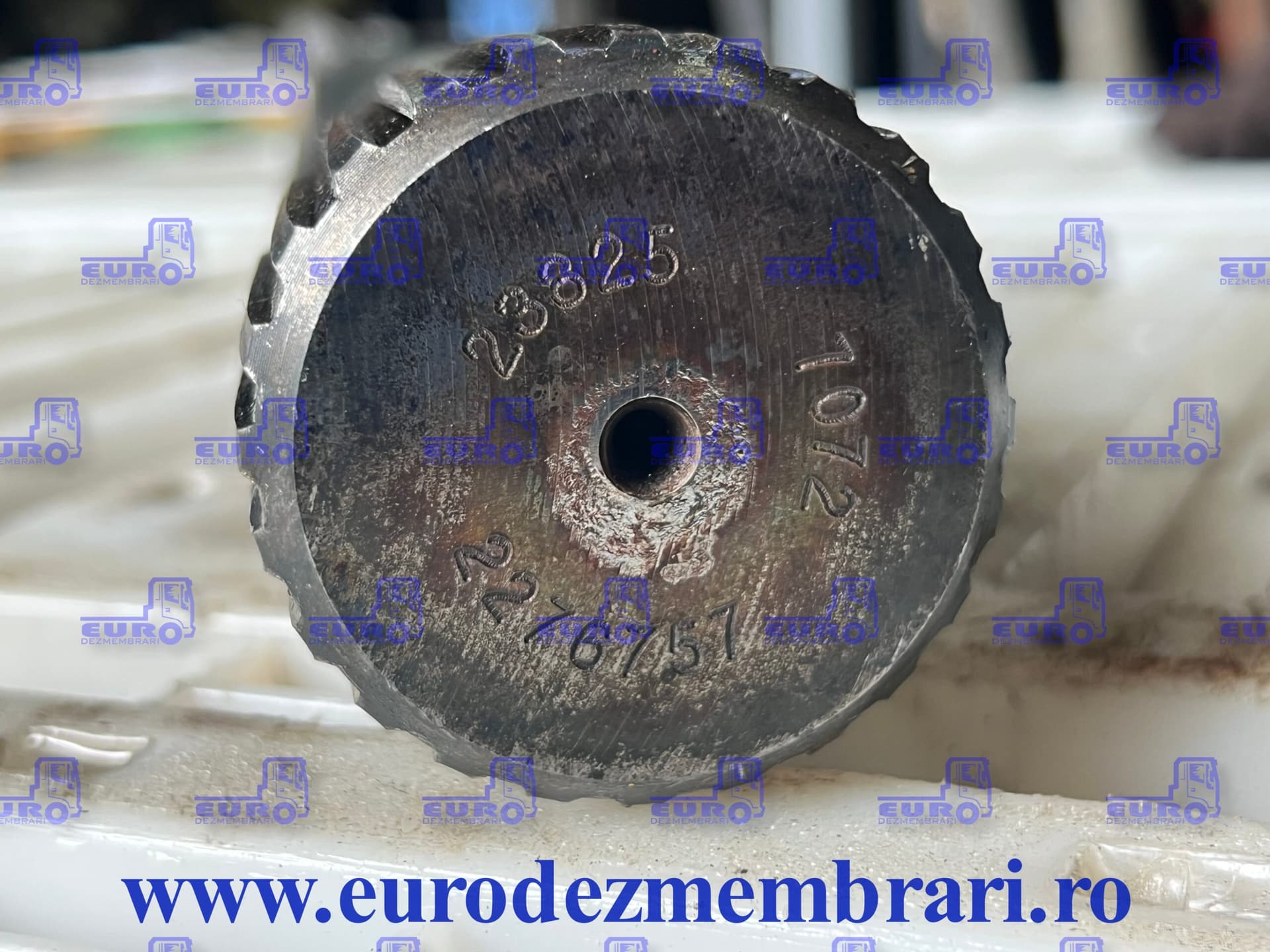 PLANETARA SCANIA 2276757 – imagine 2