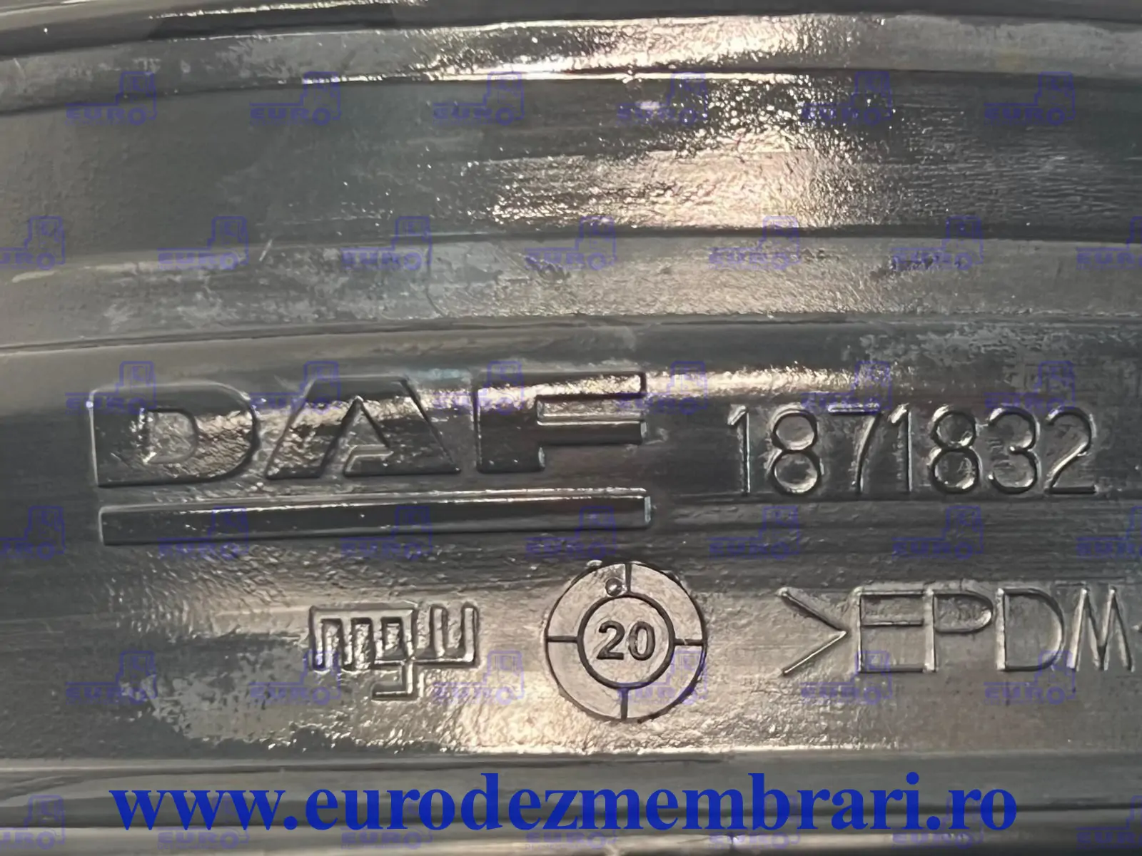 BURDUF ADMISIE DAF XF105 1871832 – imagine 2