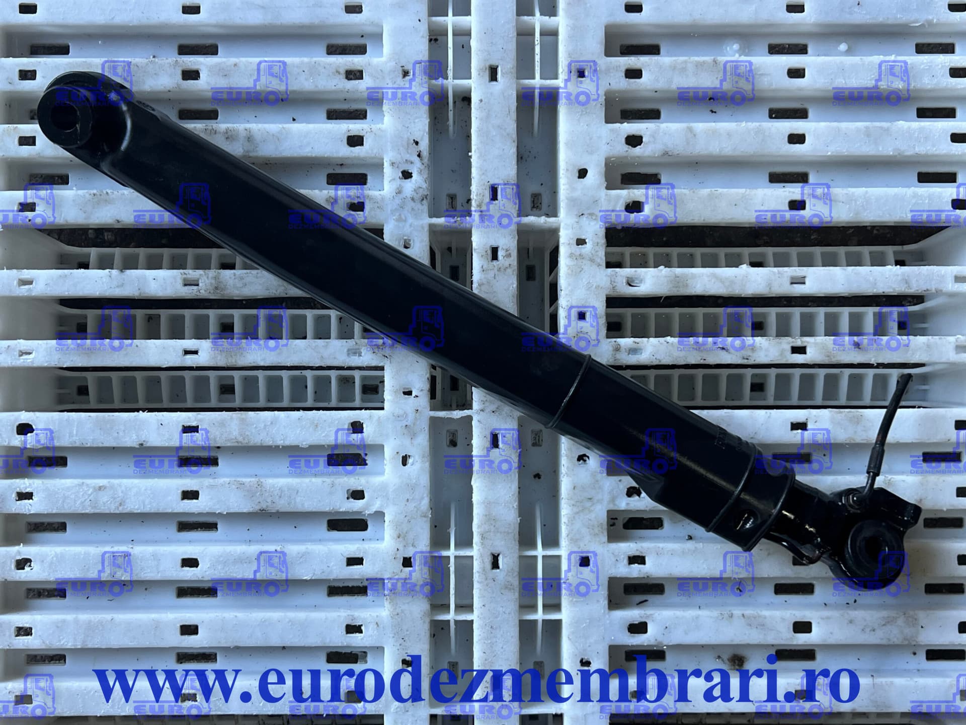 RENAULT 22928436