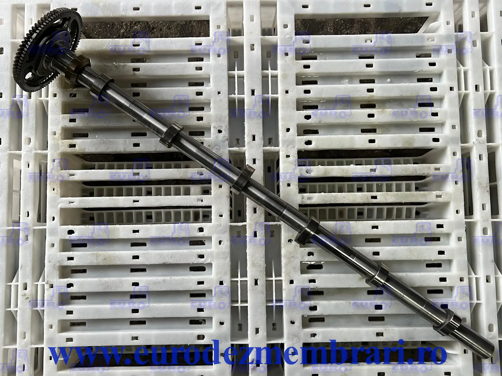 SCANIA NGS SUPER 2878172 390044767