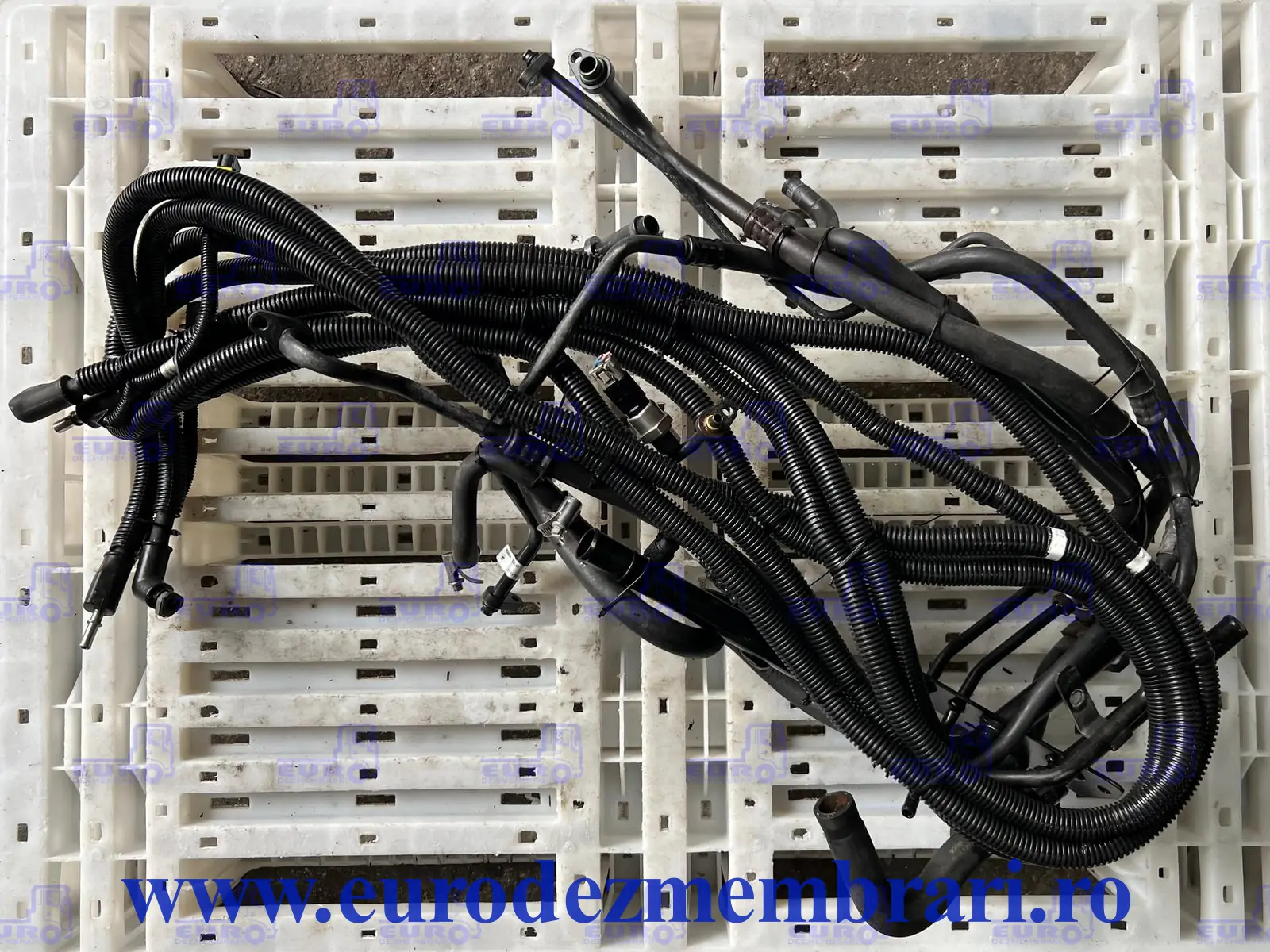 SCANIA R 2028048 2255638