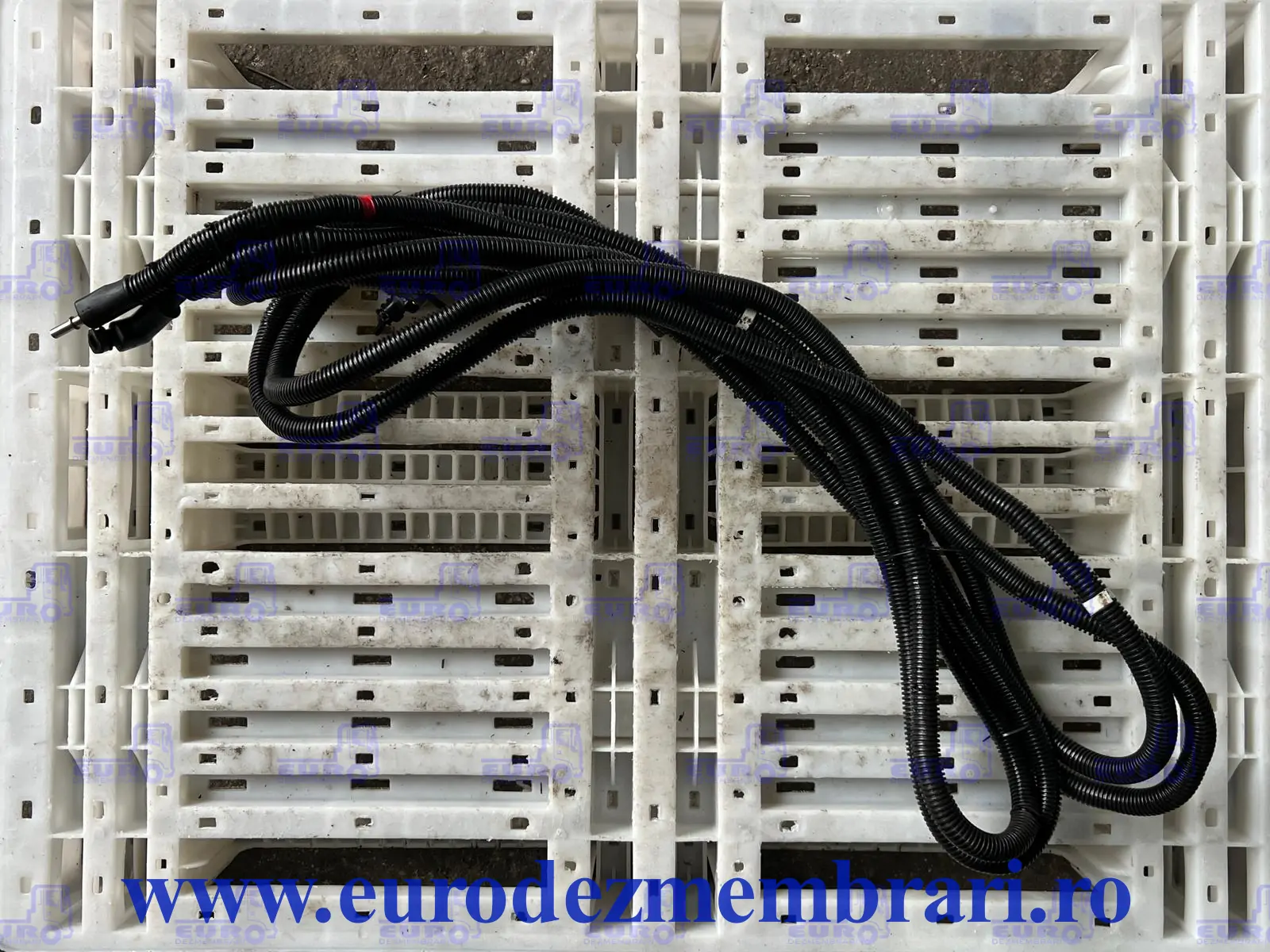 SCANIA R 2255638 2255637