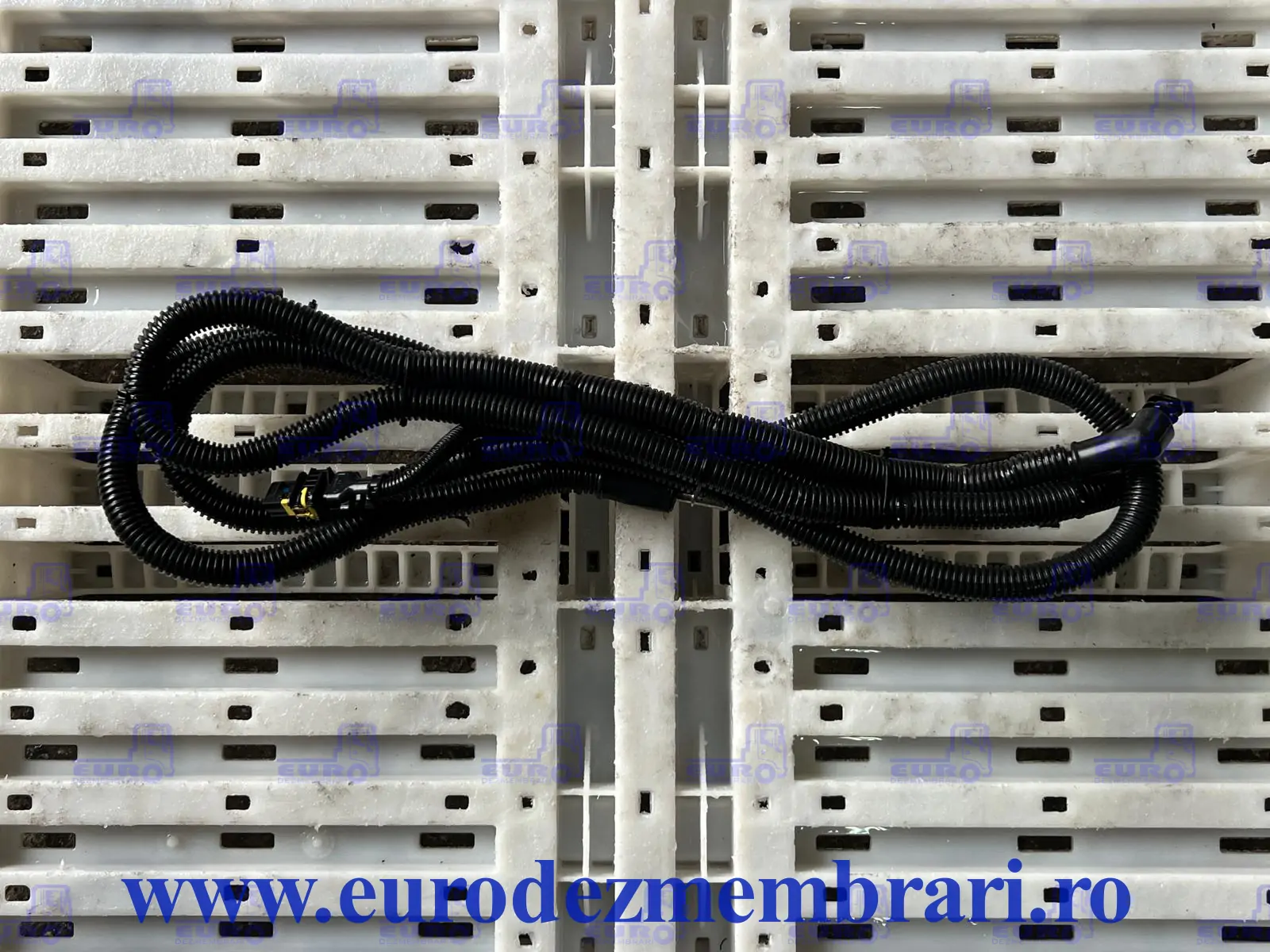 SCANIA R 2530794