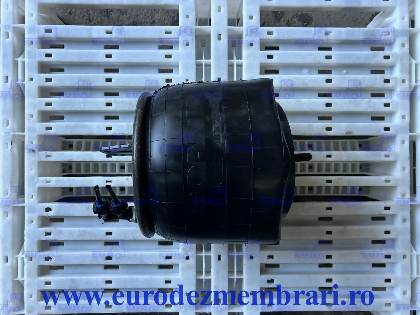 SCANIA NGS 2617887