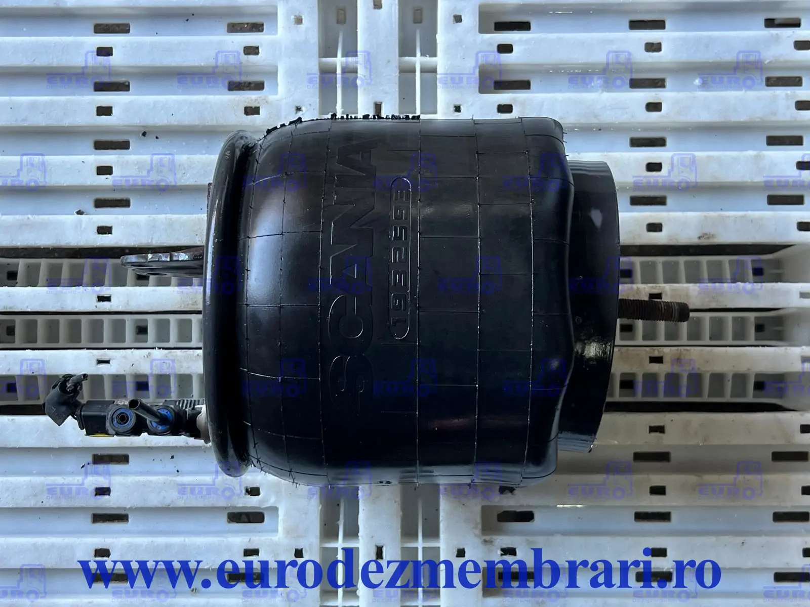 SCANIA R 1932593
